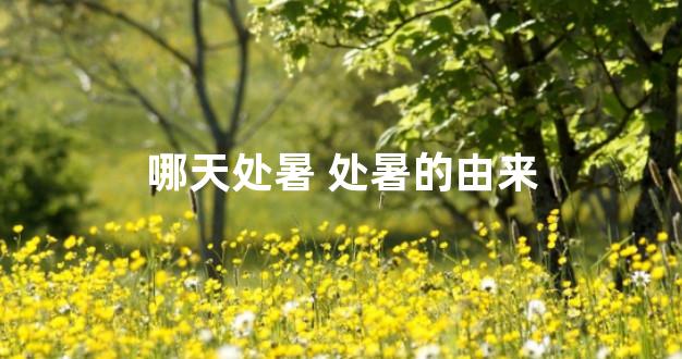 哪天处暑 处暑的由来
